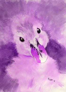 Innocent Eyes -Duck Purple