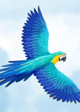 Blue and Yellow Macaw