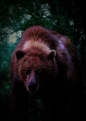 Bear Fantasy Poster