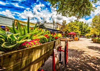 Savannah City Market