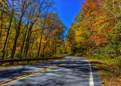 Fall Leaves North Carolina