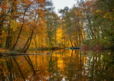 Autumn Reflections