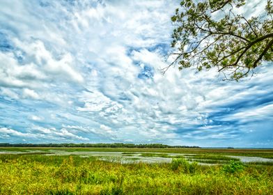 Edisto Island