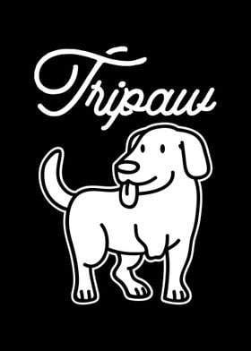 Tripawd Dog