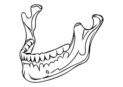 Jaw Line Art Minimal