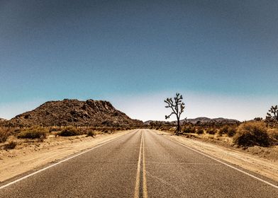 Joshua Tree National Park