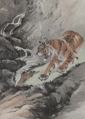 Tiger At The Spring