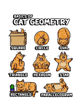 Basic Cat Geometry teacher