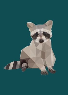 Raccoon