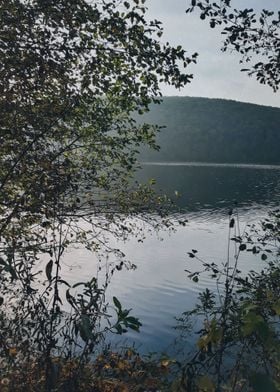 Lakeshore landscape