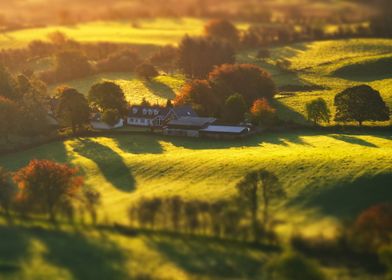 Scenic autumn rural scene