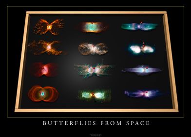 ESA Butterflies from Space