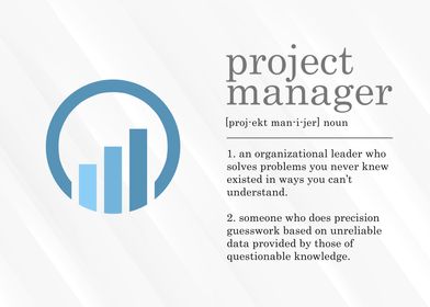 Project Manager Definition