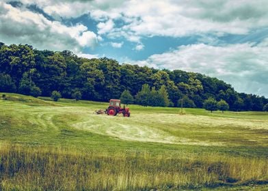 Green Grass Field