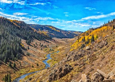 Cumbres Creek Osier