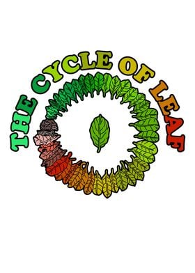 The Cycle of Leaf Colorful