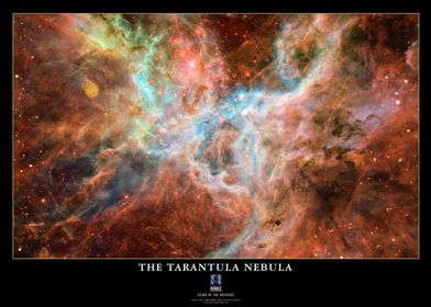 ESA Tarantula Nebula