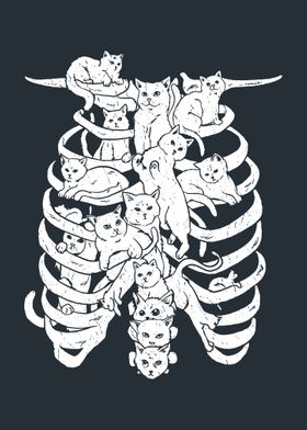 Cat Spine