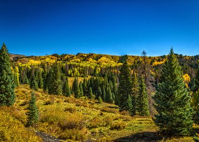 Cumbres Toltec Railroad