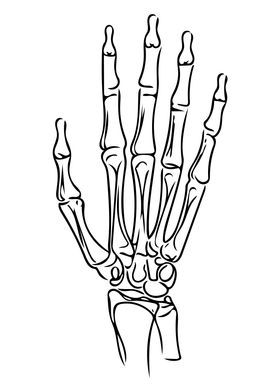 Hand Bone Line Art Minimal