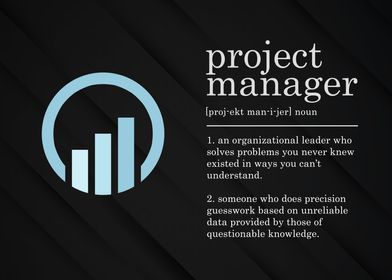 Project Manager Definition