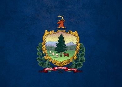 Flag of Vermont on Wall