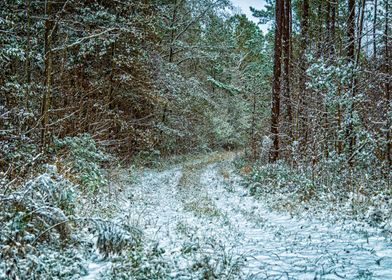 January Snow Day