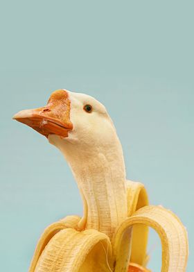 Fresh Banana Goose