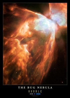 ESA The Bug Nebula