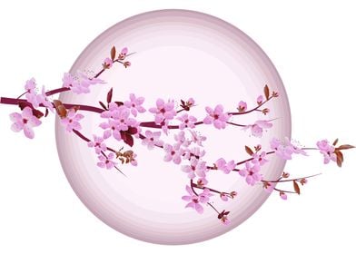 Japanese Sakura