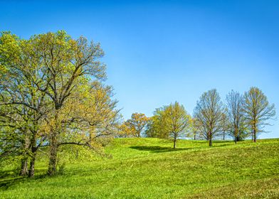 Appalachian Mountain Trail