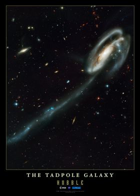 ESA The Tadpole Galaxy