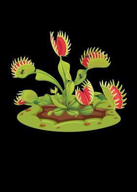 Venus Flytrap Carnivorous