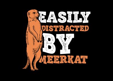 Meerkat