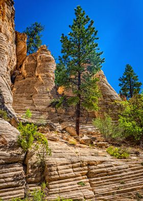 Lick Wash Trail Hike