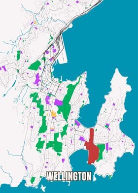 City Map OF Wellington