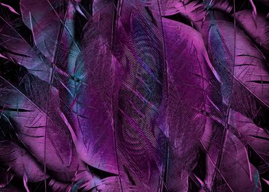 Purple Feathers