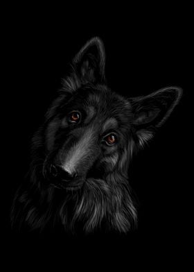 German Shepherd Dog