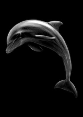 Dolphin