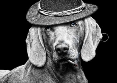 Dog with a Hat