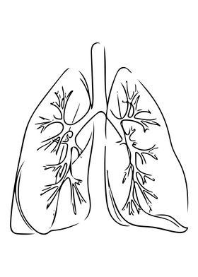 Lungs Line Art Minimal