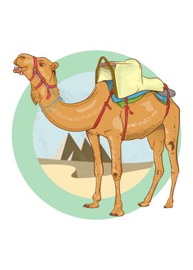 Camel in the desert