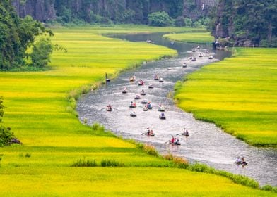 Crowded Stream 