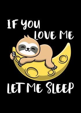 Cute Sleeping Sloth