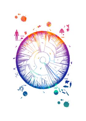 Watercolors Phylogenetic 