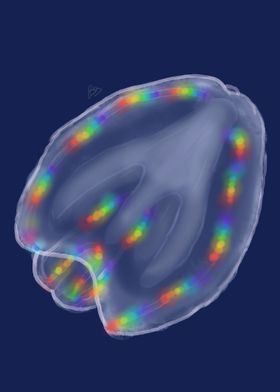 Rainbow Pride Jellyfish