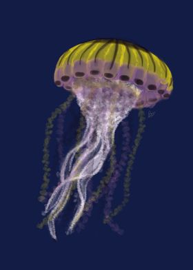 Nonbinary Pride Jellyfish