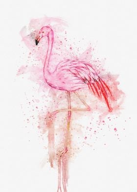 Flamingo watercolor art