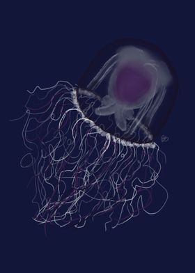 'Asexual Pride Jellyfish' Poster by BardicStyx | Displate