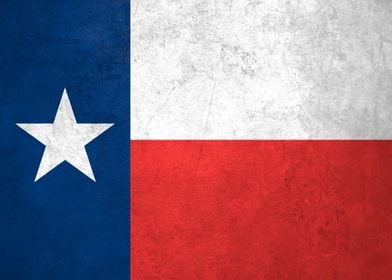 Flag of Texas on Wall